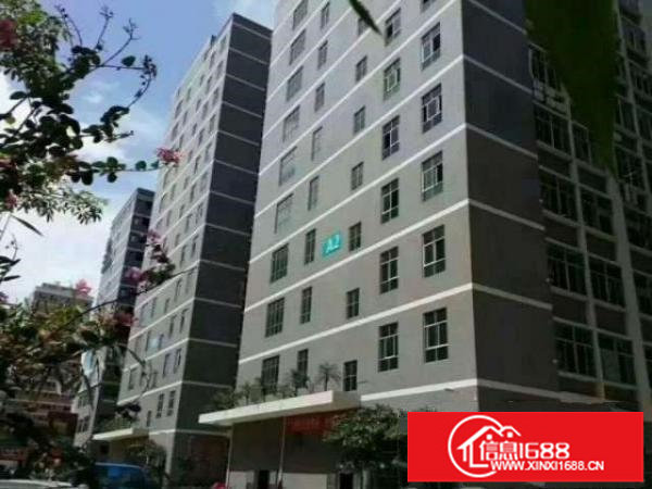 国乐高新科技园一楼二楼每层2000平带红本装修