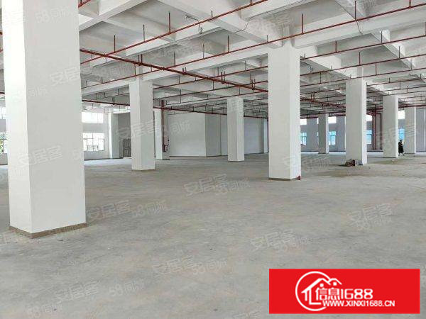 虎门4800平方花园式独院厂房出租，原房东厂房，条件可面谈