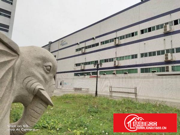 长安上沙新出8万平方带红本厂房，合同年限长，靠近沿江高速