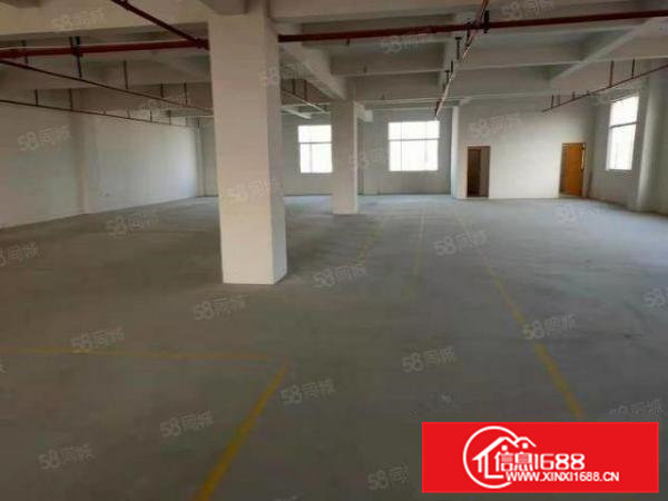 桥头全新厂房三楼水电齐全带精装修出租