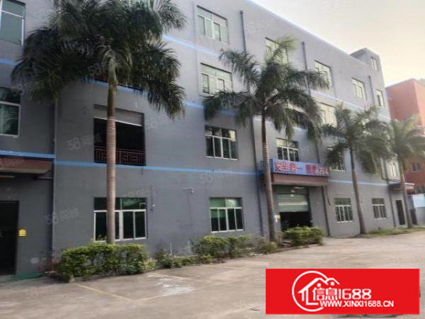 龙岗龙东单层面积2000平厂房出租带装修大小分租一楼6米高