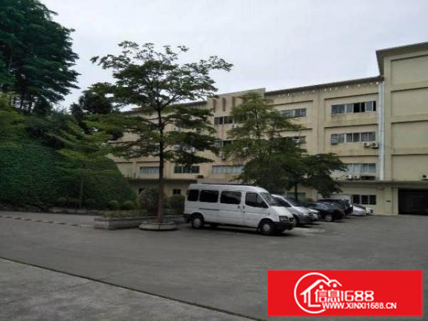 横岗园林式厂房1000平出租带装修报价22元一平临近地铁站