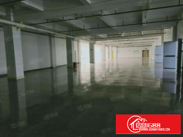 凤岗原房东无尘车间厂房出租2600平，无需转让费，下手要快