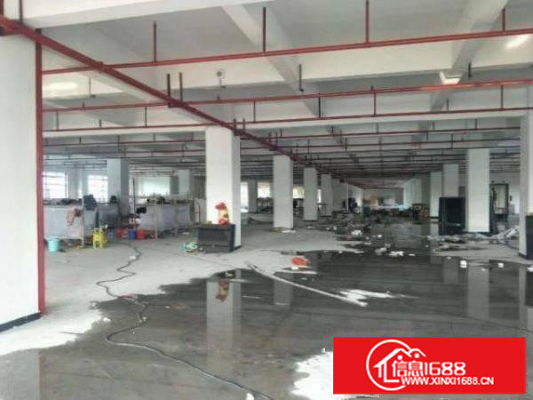 光明大围社区二楼厂房出租800平米，消防喷淋