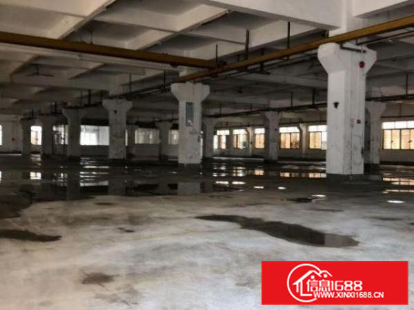 高埗工业区3楼2000平，有电梯，宿舍按需，有精装办公室