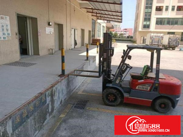 东莞凤岗冷库电商科技公司独院厂房出租4万平