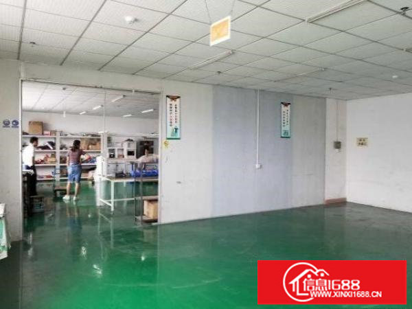 分租宝安松岗塘下涌双电梯精装厂房高速107宝安大道仓储优先