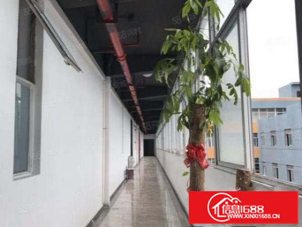 丹竹头荔枝花园8成使用率88平110平158平220平电商园