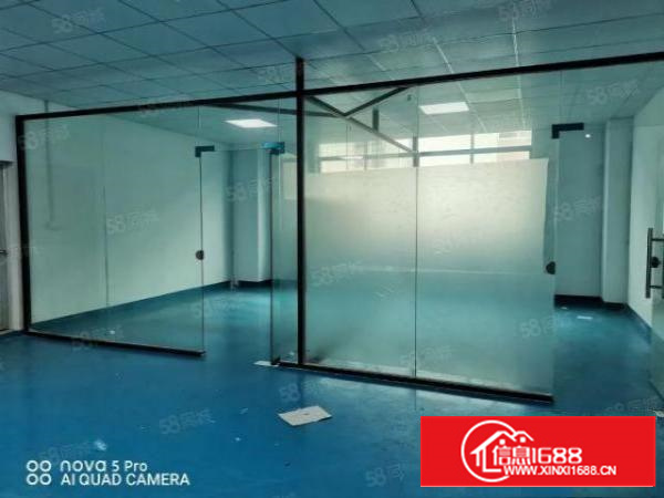 风岗金凤凰标准厂房1200平，精装地坪漆电子加工行业等