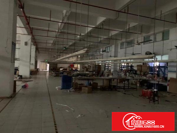 东莞市虎门镇白沙一楼1700平方实际面积带消防喷淋适合做仓库