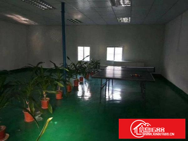 凤岗油甘埔楼上500平方豪装办公室地坪漆吊顶价格低