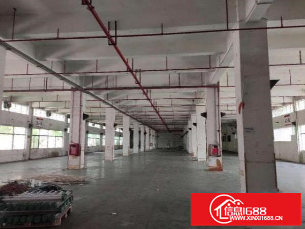 坪山大工业区新出红本厂房一楼5000平方大小分租