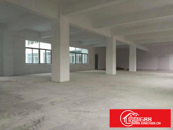 荷路大空地独院厂房宿舍仓库招租，可分租