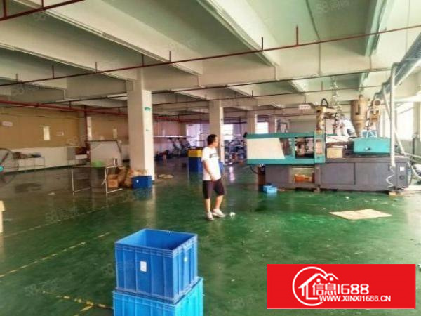 石碣桔州独院厂房7500方（可分租空地大好办环评）