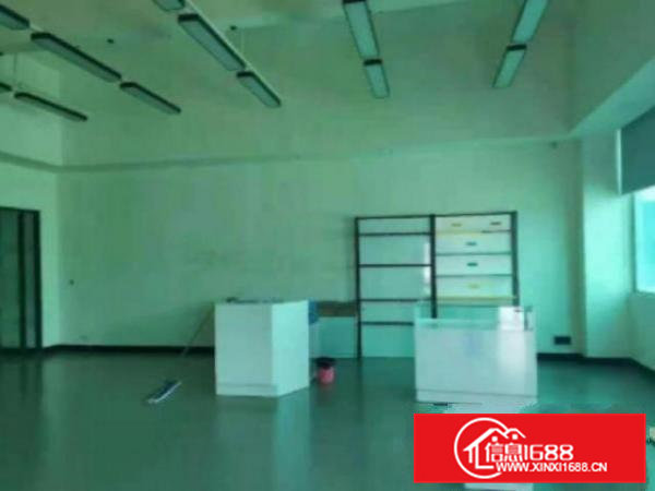 高埗标准一楼1580平方招租带办公室装修