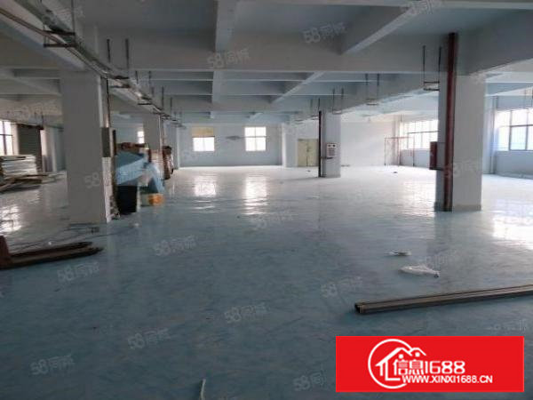 谢岗原房东高大尚标准楼上整层厂房900平方出租