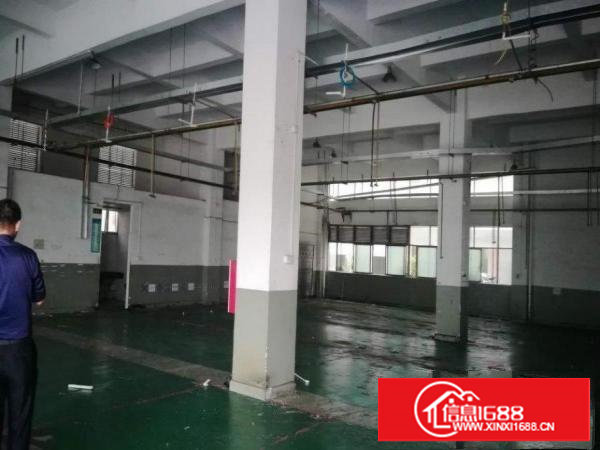 原房东标准一楼出租实际面积