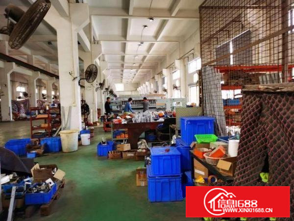 原房东，厂房出租，面积实在，没有公摊