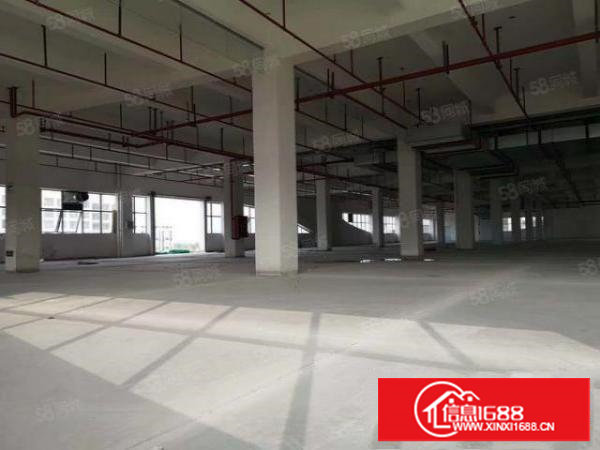 业主直租~所见即所得！全新标准厂房19元！