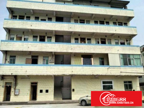 出租惠阳新墟独院单一层钢构500平方