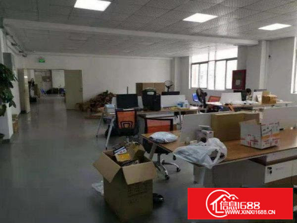 大朗大井头出租精装修办公厂房500平，办公设施齐全，现成装修