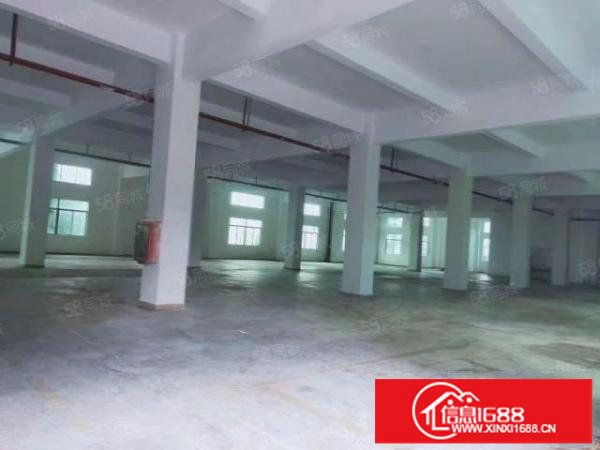 大浪一楼2050平方厂房出租可分租租金31元行业不限
