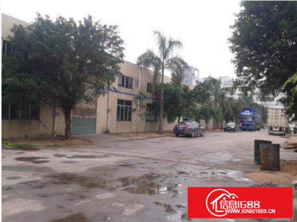 （给钱就租)清溪大埔村钢构厂房800平方出租