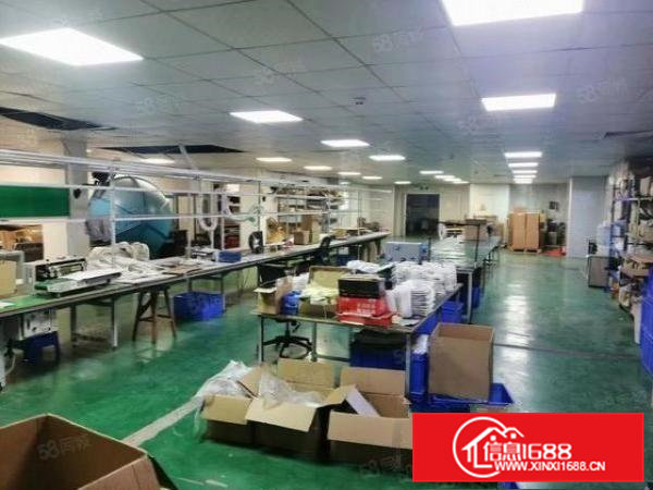 独院厂房4200平方火爆招租（可以分租）