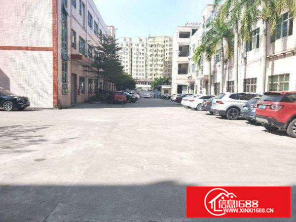 长安厦岗新出一楼350平带装修厂房招租