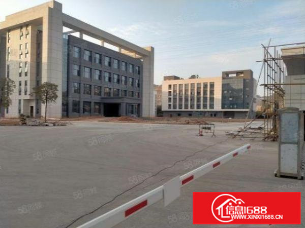 厂房出租大岭山原房东新建独门独院厂房1.8万平方大小可分租