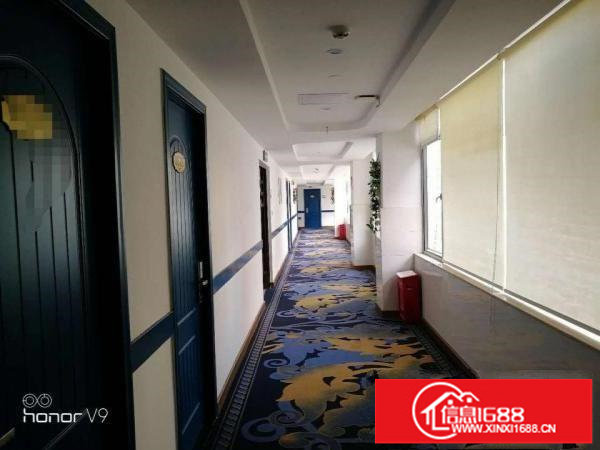 平湖7层整栋公寓招租投资，就在地铁站，火车站旁边;速度来看