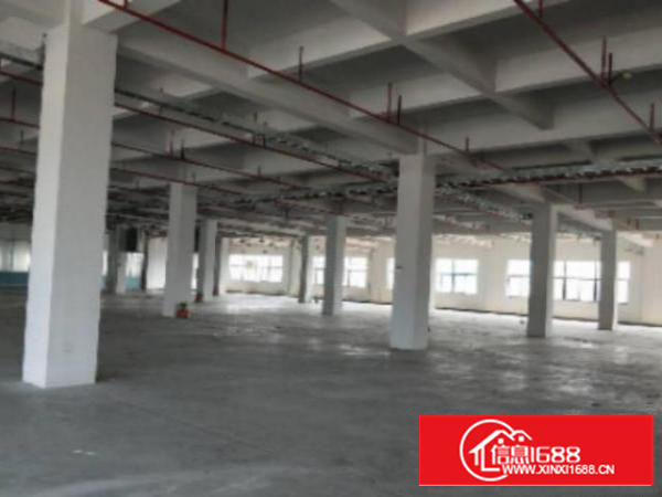万江标准1800平方米层高5.5米;适合五金机械等行业