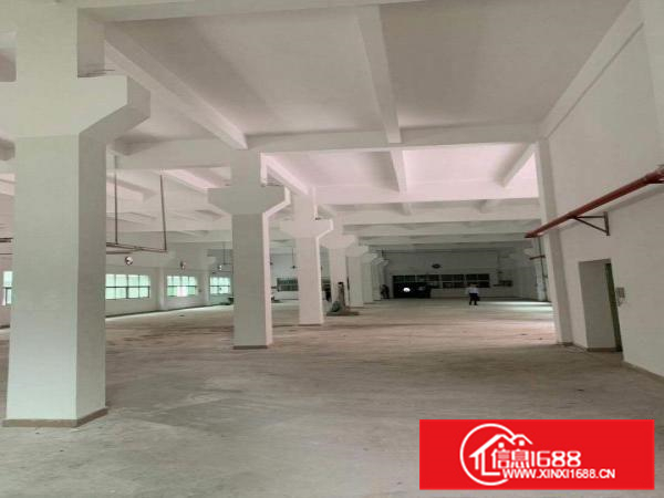 惠城原房东万江工业园独栋厂房出租面积实在