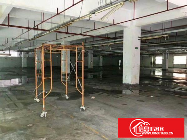 惠阳秋长白石新出标准一楼600平米平价出租