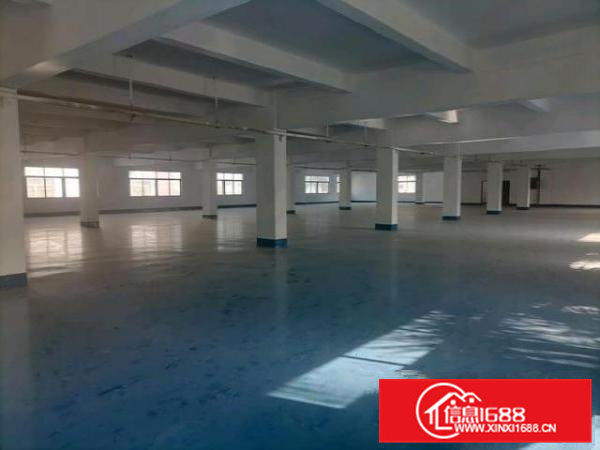 高埗镇冼沙路段花园式厂房