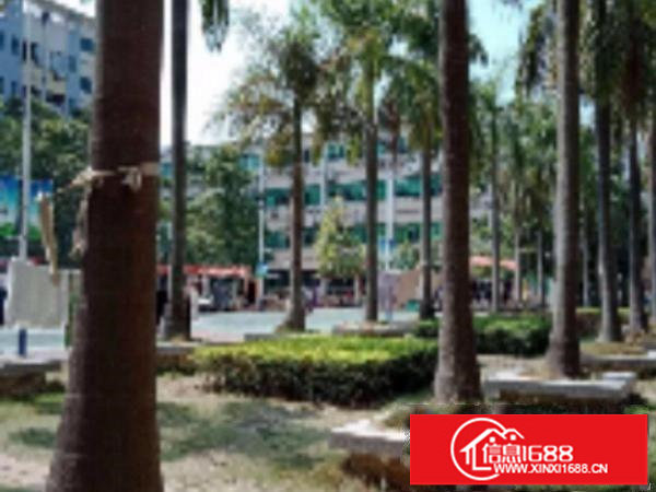 布吉丹竹头宝丹路300;500;700坪带电梯