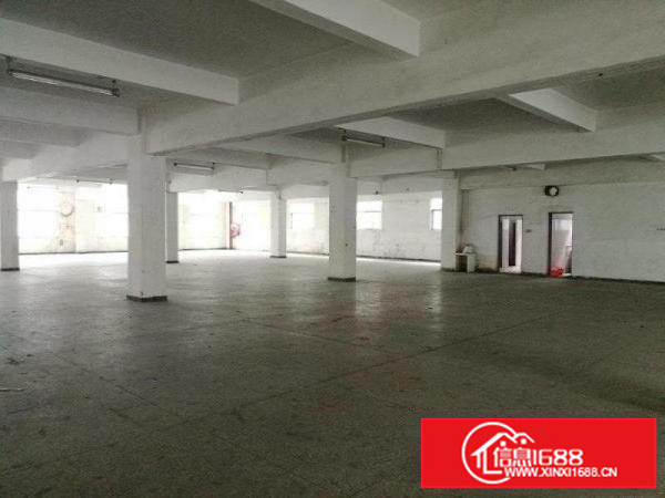 厂房仓库出租10000平米，宿舍3000平米可分租