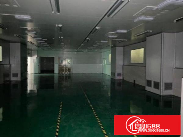 平湖华南城附近1000平米一楼标准厂房出租