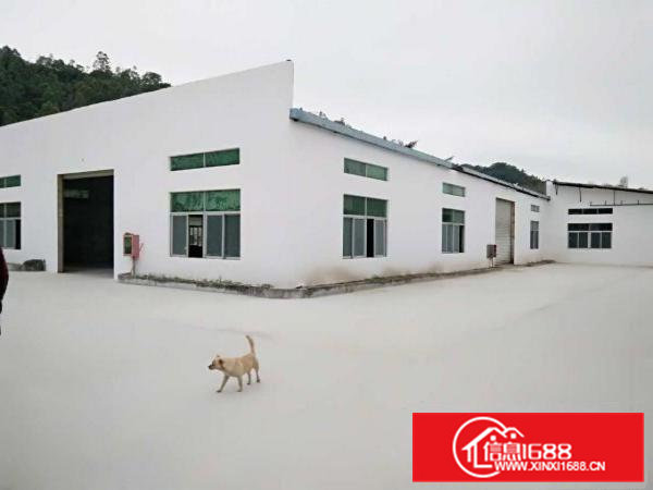 虎门沙角新出洗水漂染工业厂房2680平方招租（可分租）