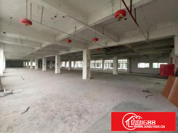 坂田杨美地铁口大型电商园区整层2400平招租
