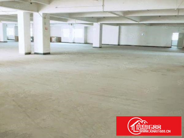 出租东坑红本厂房3310平大小分租配4台3吨货梯周边无居民