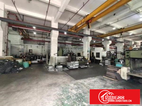 清溪新出独门独院精装修一楼带牛角行车1600平大小可分租