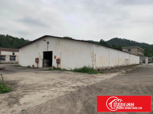 龙岗大道旁边独院单层6栋20000平米厂房仓库，可包租/分租