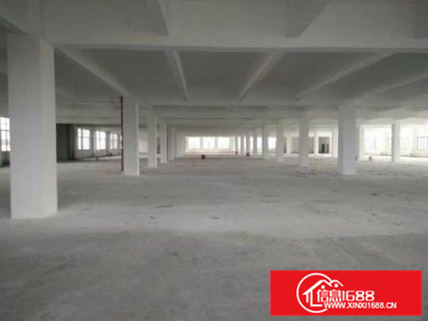 近番禺，大路边独院新建厂房，形象好，独立办公宿舍