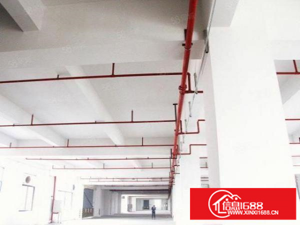 3000方标准厂房可分租一手出租装修好