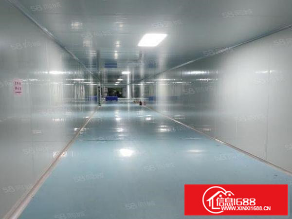 青皇新出九成新无尘车间2780，内部隔间大，急租。