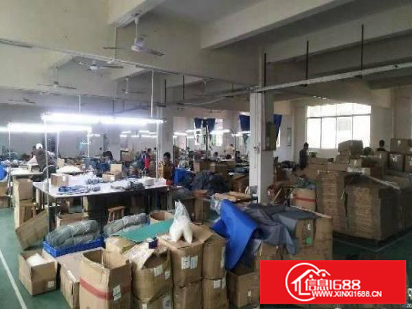 新圩花园式厂房一楼600平方可做污染