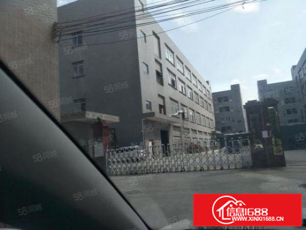 常平(新出多套)花园式独门独院厂房