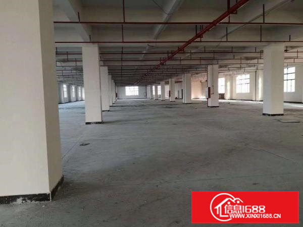 东莞企石镇新出独门独院带喷淋消防标准厂房5600平方出租