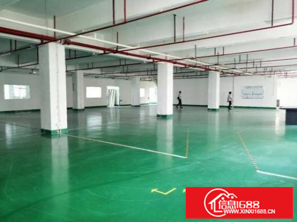 出租福永镇楼上500平方无尘车间，免转让费，随时看房